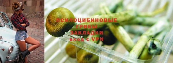сатива Богородицк
