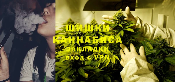 трава Белокуриха