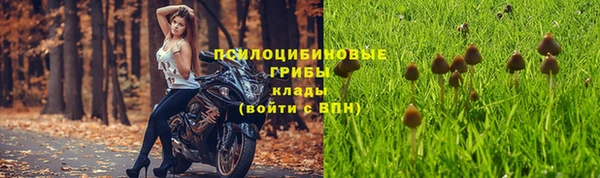 сатива Богородицк