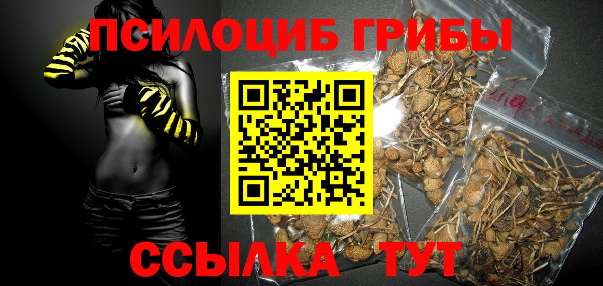 Псилоцибиновые грибы Psilocybine cubensis Вязьма