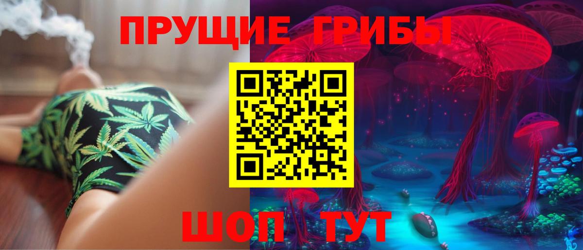 Псилоцибиновые грибы Psilocybe  Вход с VPN  Вязьма  Галлюциногенные грибы Psilocybe 